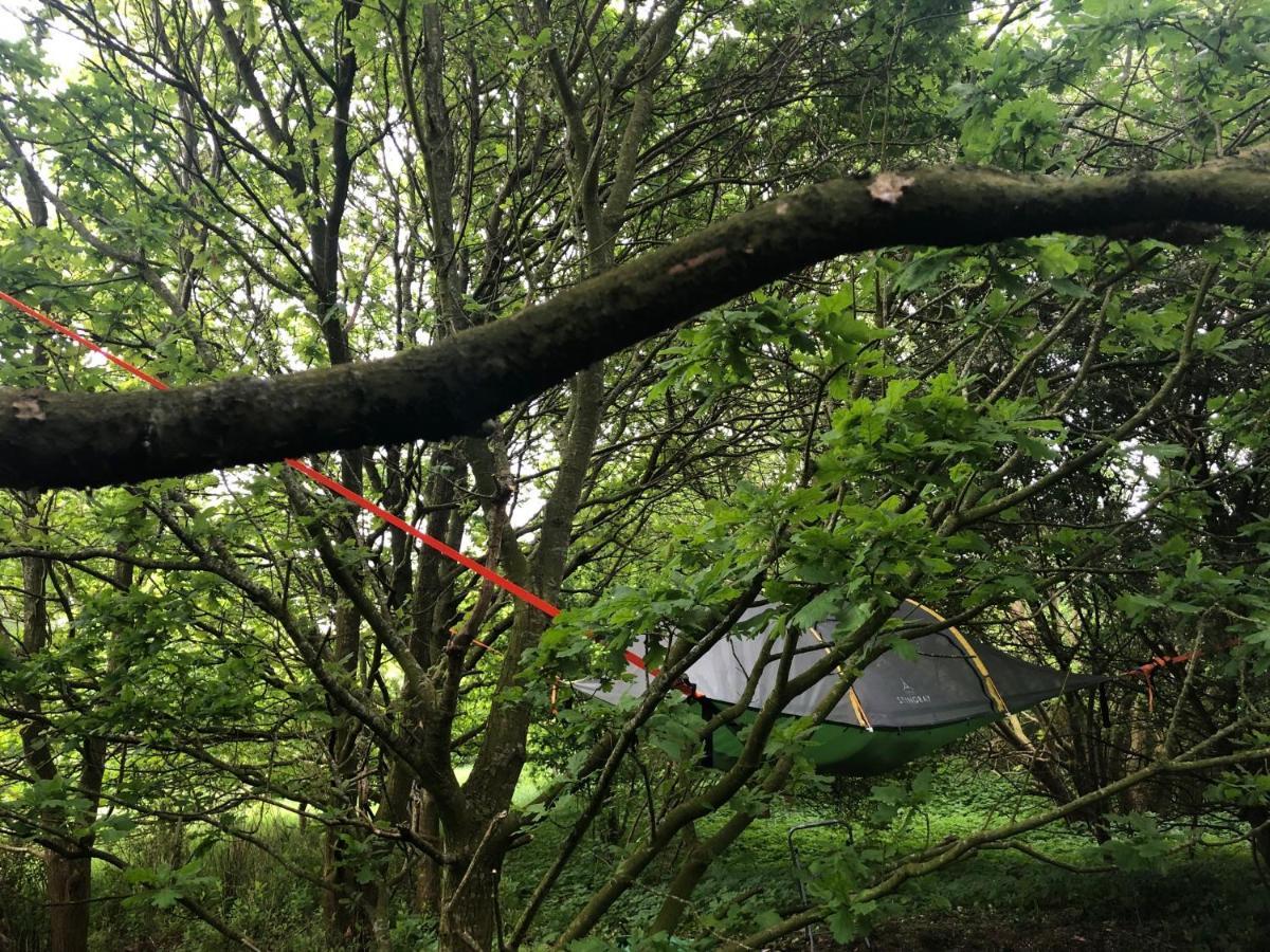 Naturecamp Cuxhaven Zewnętrze zdjęcie